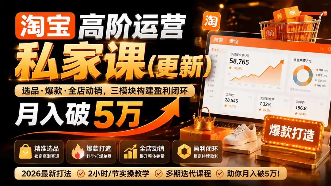 淘宝高阶运营私家课(更新26年-小行网创