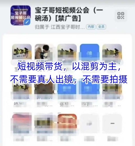 宝子哥头部团队短视频带货，以混剪为主，不需要真人出镜，不需要拍摄【更新11月】-小行网创