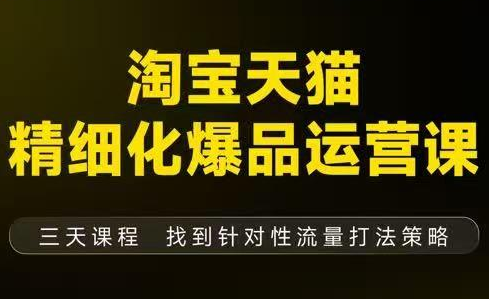 猫课子幽·淘宝天猫精细化爆品运营【音频+字幕+文档】(9月12-14杭州线下课)-小行网创
