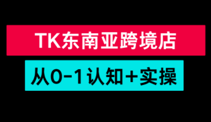 TikTok东南亚跨境从0-1认知实操课-小行网创