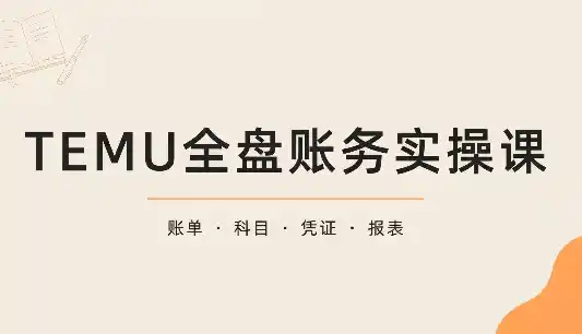 TEMU全盘账务实操课：账单导出、科目设置、利润核算-小行网创