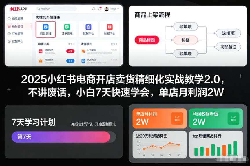2025小红书电商开店卖货精细化实战教学2.0，不讲废话，小白7天快速学会，单店月利润2W-小行网创