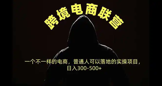 跨境电商联营，一个不一样的电商，普通人可操作日入300-500+-小行网创
