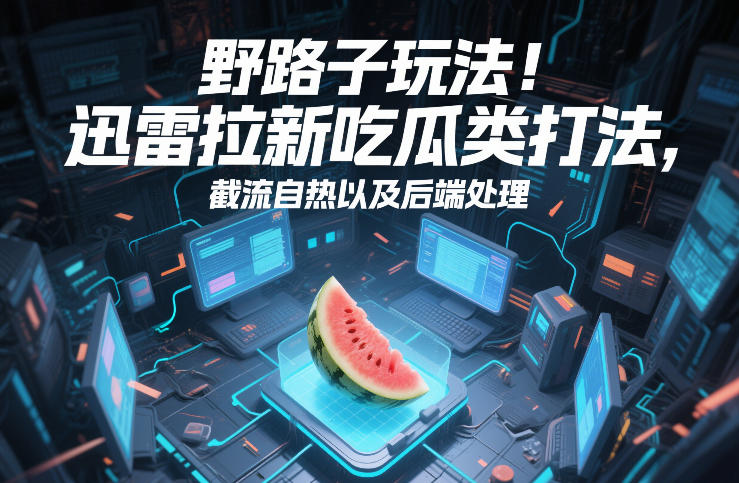 野路子玩法！迅雷拉新吃瓜类打法，截流自热以及后端处理-小行网创