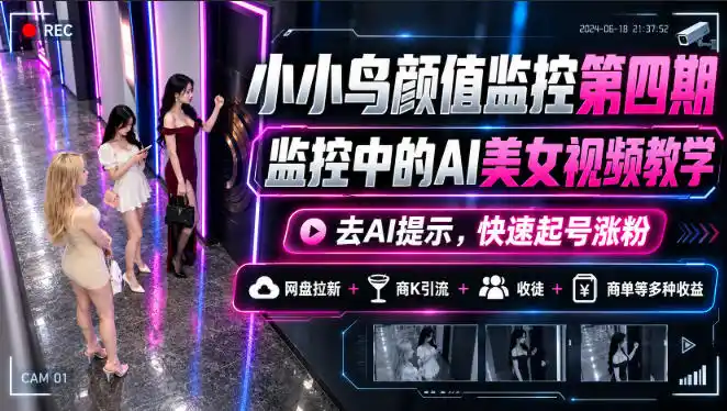 小小鸟颜值监控第四期，监控中的AI美女视频教学，去AI提示，快速起号涨粉，网盘拉新+商K引流+收徒+商单等多种收益-小行网创