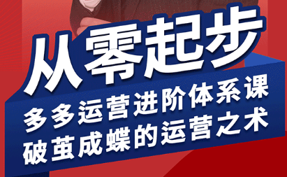 海神·拼多多运营进阶系统课(更新2026)-小行网创