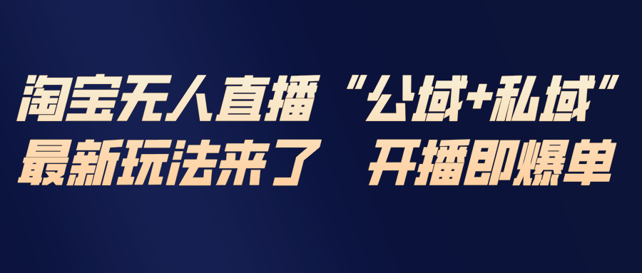 淘宝无人直播最新玩法，包含私域和公域两种玩法-小行网创