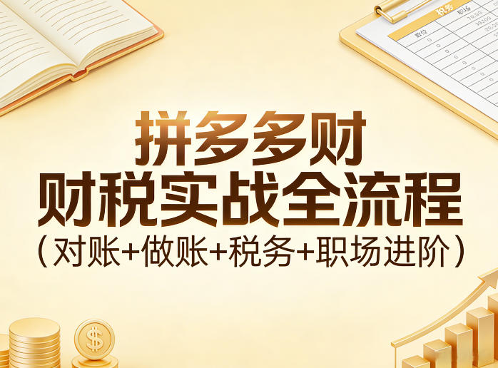 拼多多财税实战全流程(对账+做账+税务+职场进阶)-小行网创