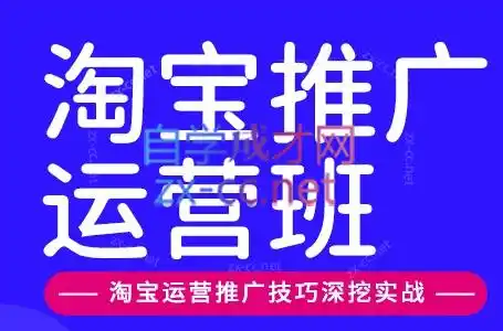 美迪电商·淘宝高级运营班+推广运营班(更新10月)-小行网创