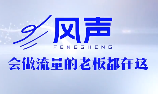 董十一·风声短视频AI获客年度会员-小行网创