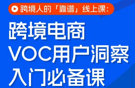 跨境电商VOC用户洞察入门必备课-小行网创