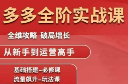 大炮·拼多多全阶实战课程(更新2026)-小行网创