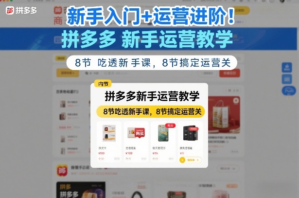 新手入门+运营进阶！拼多多新手运营教学，8节吃透新手课，8节搞定运营关-小行网创