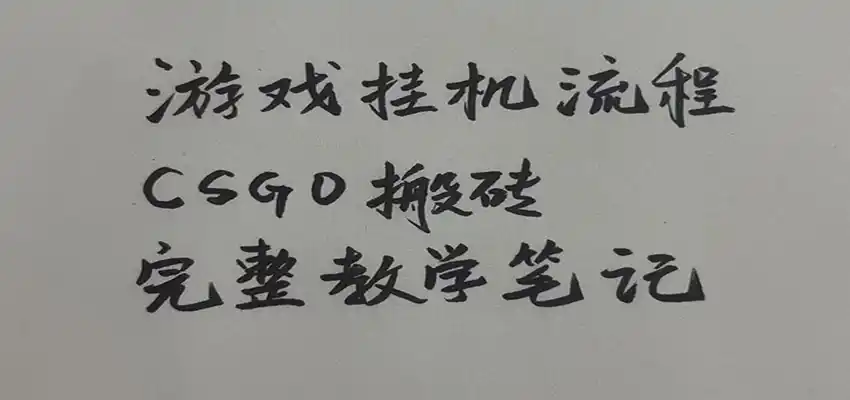 游戏挂机全流程笔记分享，CSGO游戏搬砖，小白看了当天学会见收益-小行网创