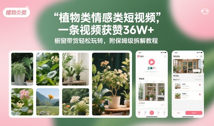 植物类情感类短视频，一条视频获赞36W+，橱窗带货轻松玩转，附保姆级拆解教程-小行网创