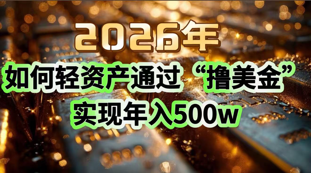 2026年如何轻资产通过“撸美金”实现年入500w-小行网创