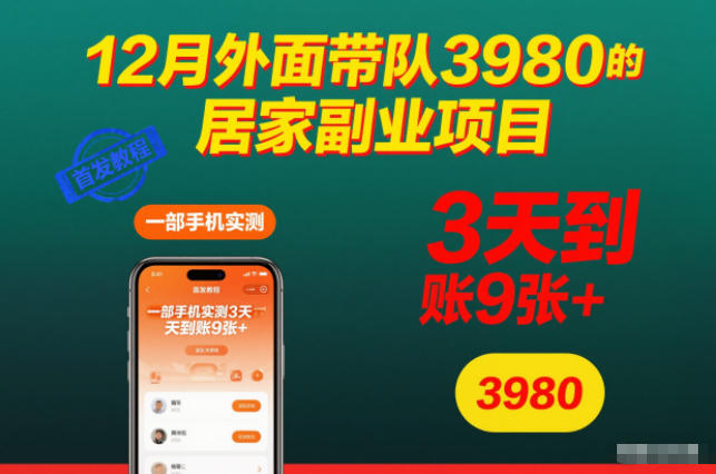 12月外面带队3980的居家副业项目,一部手机实测3天到账9张+,首发教程【揭秘】-小行网创