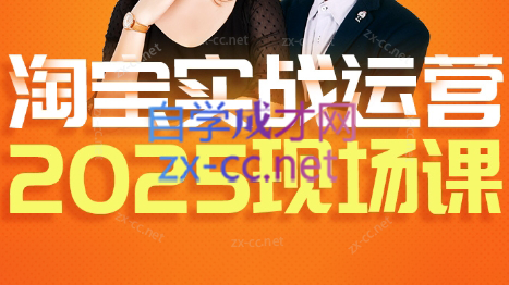 推易·淘宝全套运营现场课程(更新12月)-小行网创