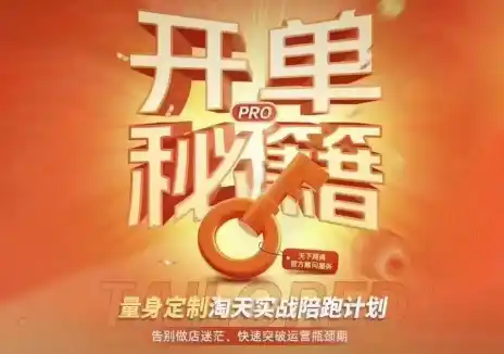 天下网商·淘宝天猫陪跑计划(更新10月)-小行网创