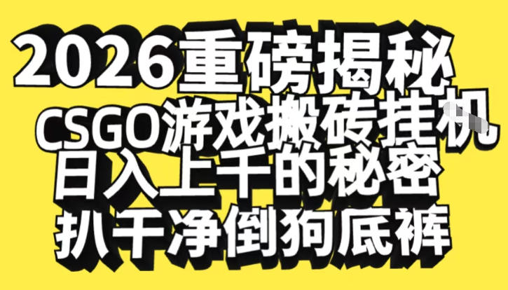 2026开年重磅解密，CSGO游戏搬砖挂G日入1k+的秘密，把倒狗的底裤扒干【揭秘】-小行网创