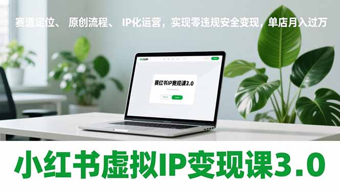 小红书虚拟IP变现课3.0，赛道定位、原创流程、IP化运营，实现零违规安全变现，单店月入过万-小行网创
