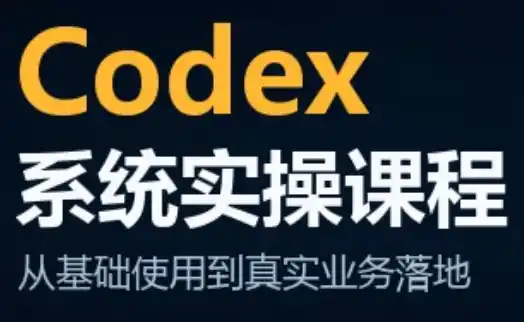 codex系统实操课程(更新10月)-小行网创