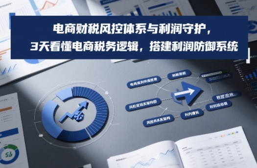 电商财税风控体系与利润守护，3天看懂电商税务逻辑，搭建利润防御系统-小行网创