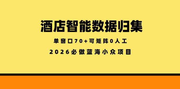 酒店智能数据归集,小众蓝海已经稳定半年之久,单窗口70+零成本矩阵开干【揭秘】-小行网创