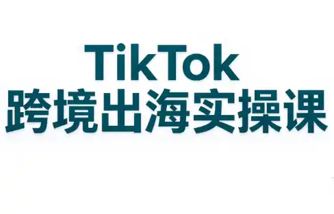 彭老师·TikTok跨境出海实操课-小行网创