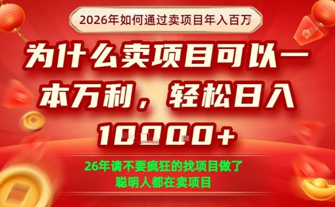 一单净利润1K+，26年想年入100个W，死磕卖项目就够了【揭秘】-小行网创