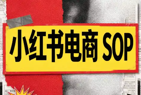 书豪必胜小红书电商sop(更新9月)-小行网创