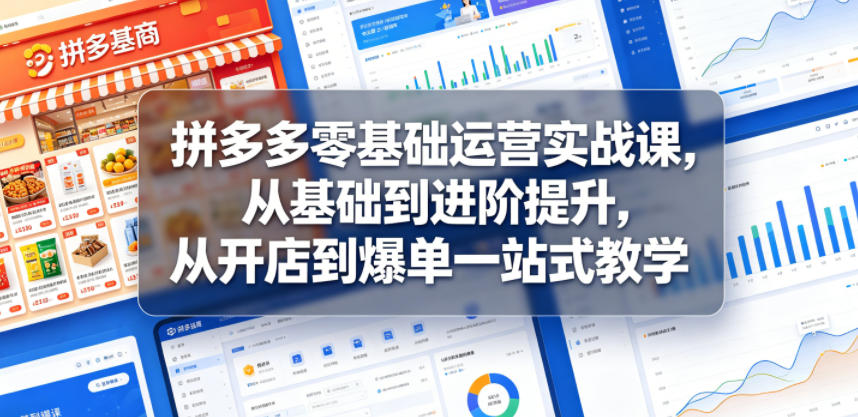 拼多多零基础运营实战课,从基础到进阶提升,从开店到爆单一站式教学-小行网创