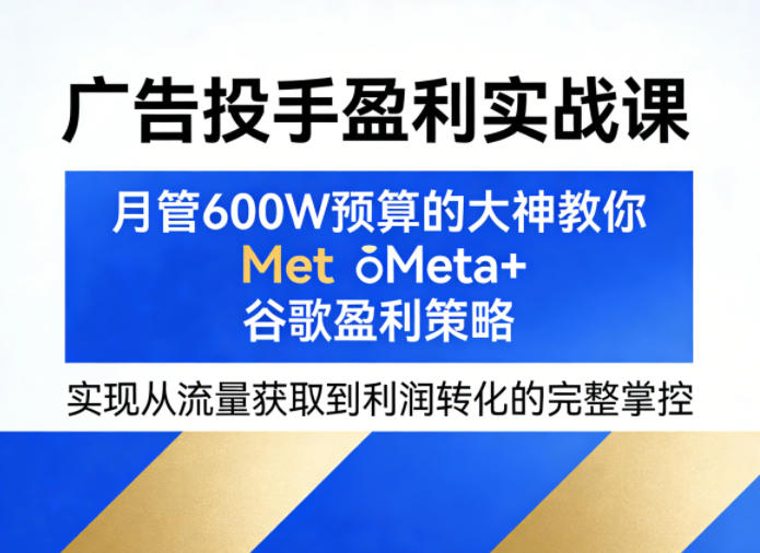 广告投手盈利实战课，月管600W预算的大神教你Meta+谷歌盈利策略，实现从流量获取到利润转化的完整掌控-小行网创