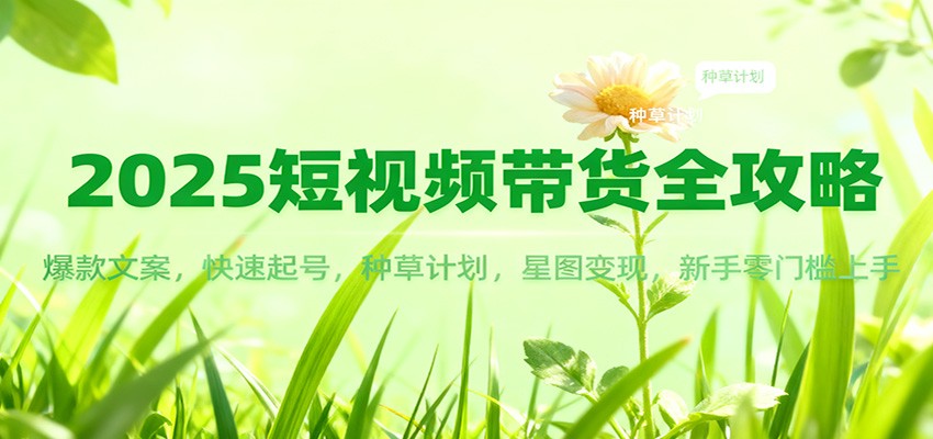 2025短视频带货全攻略：爆款文案，快速起号，种草计划，星图变现，新手零门槛上手-小行网创