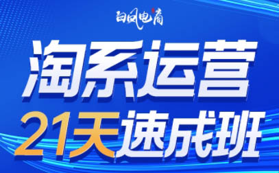 白凤电商·淘系运营21天速成班(更新4月)-小行网创