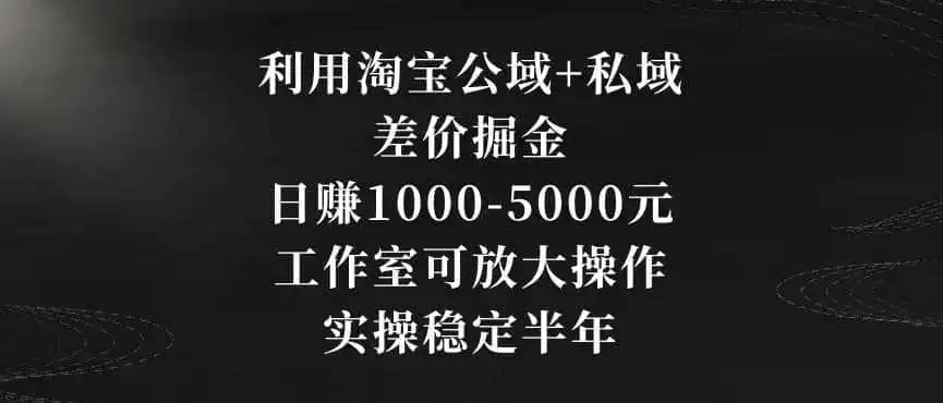 利用淘宝公域+私域差价掘金，日赚1000-5000元，工作室可放大操作，实操稳定半年【揭秘】-小行网创