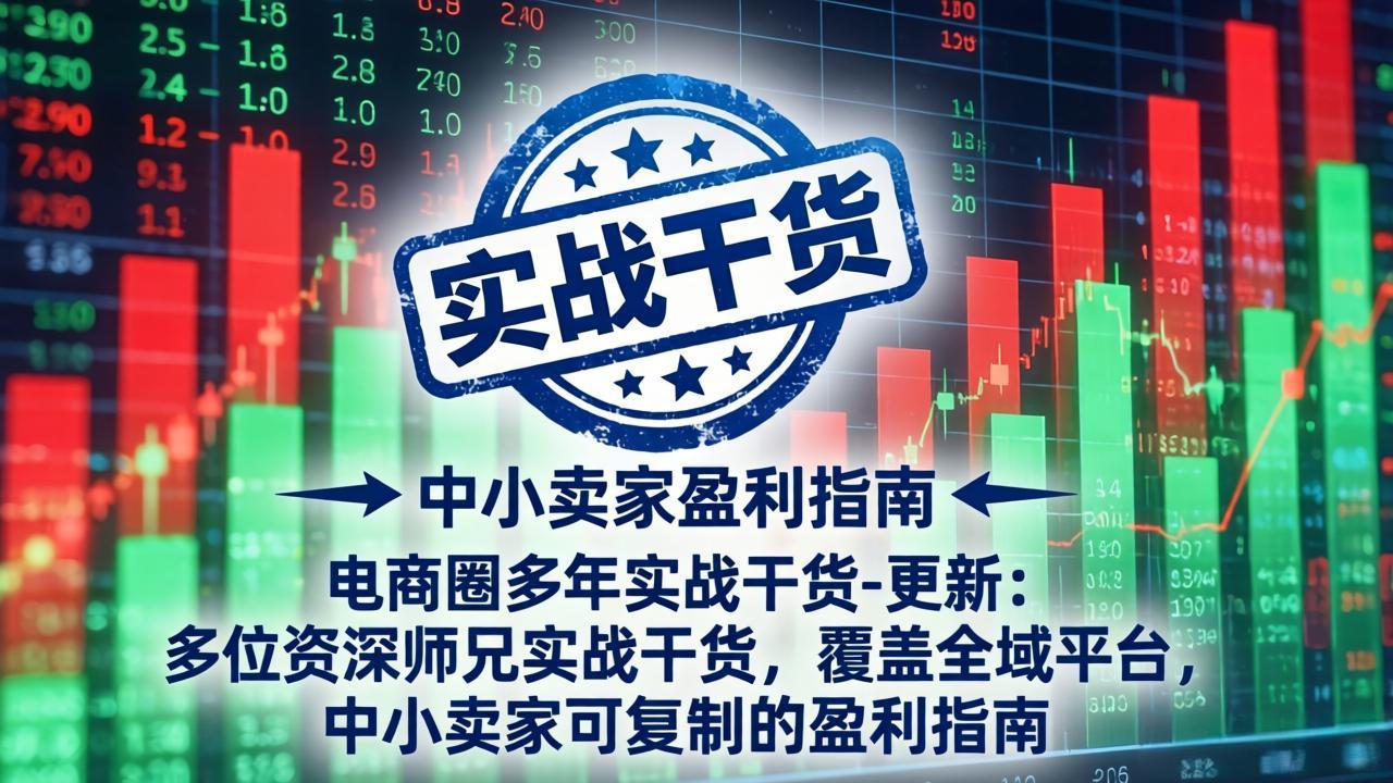 电商圈多年实战干货-更新4月：多位资深师兄实战干货，覆盖全域平台，中小卖家可复制的盈利指南-小行网创