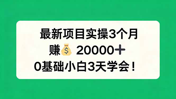 最新项目实操3个月,赚钱20000+,0基础小白3天学会!-小行网创