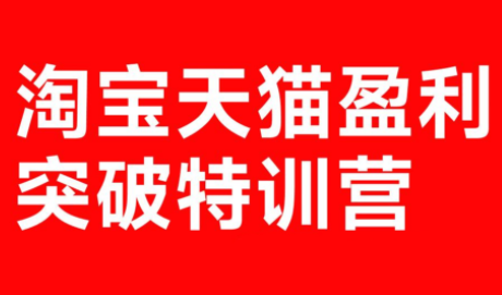 玺承·淘宝天猫盈利突破特训营(25年12月线下课)【音频+字幕】-小行网创
