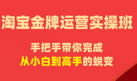 飓风电商·淘宝金牌运营实操班-小行网创