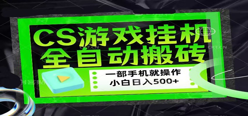 CSGO游戏挂机捡漏搬砖，超稳定的项目，带领1000+小白实现日入500+-小行网创