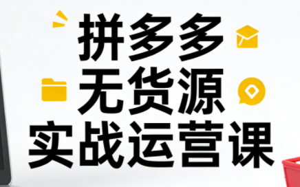 子枫老师·拼多多无货源实战运营课(更新12月)-小行网创